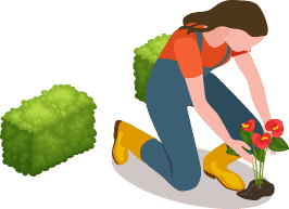 girl planting and bush icon