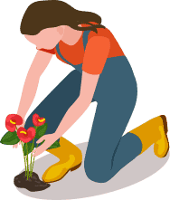 woman planting