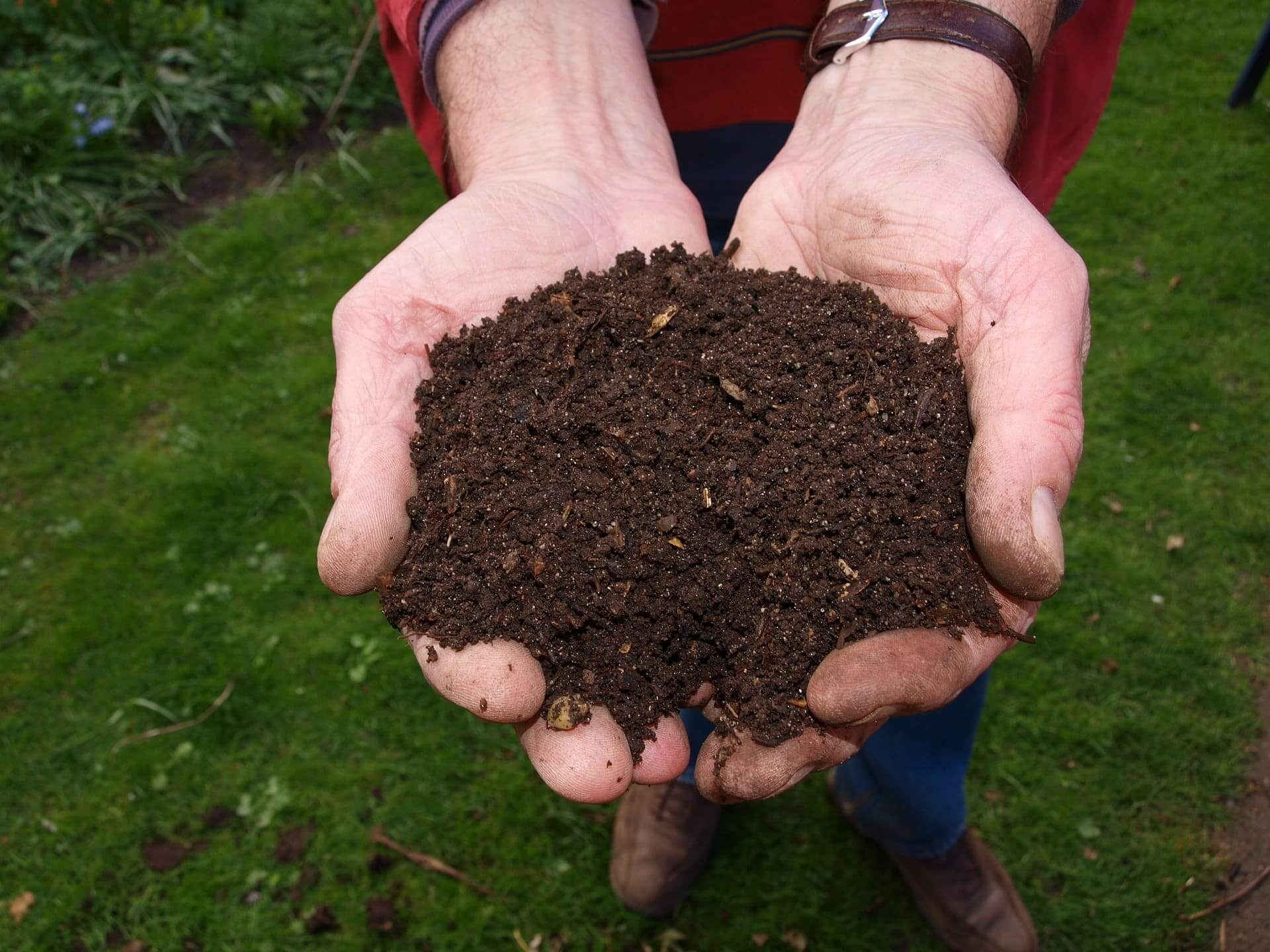 soil in the hands