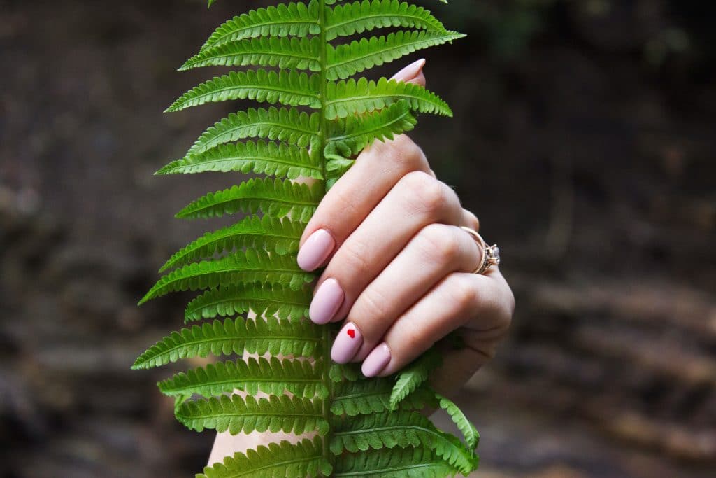 fern in hand with painted nails
